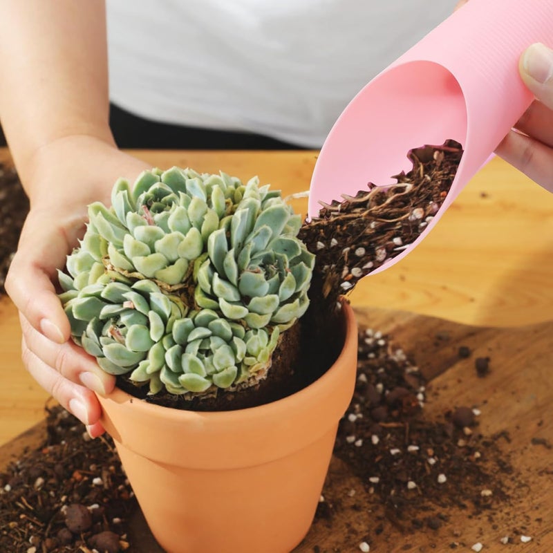 OSVJE 6 Pcs Bonsai Soil Scoops Plastic Garden Shovels Garden Tool, Colorful Mini Potting Scoops for Plant Succulent, Lightweight and Durable Design for Easy Gardening and Transplanting Tasks - Image 3